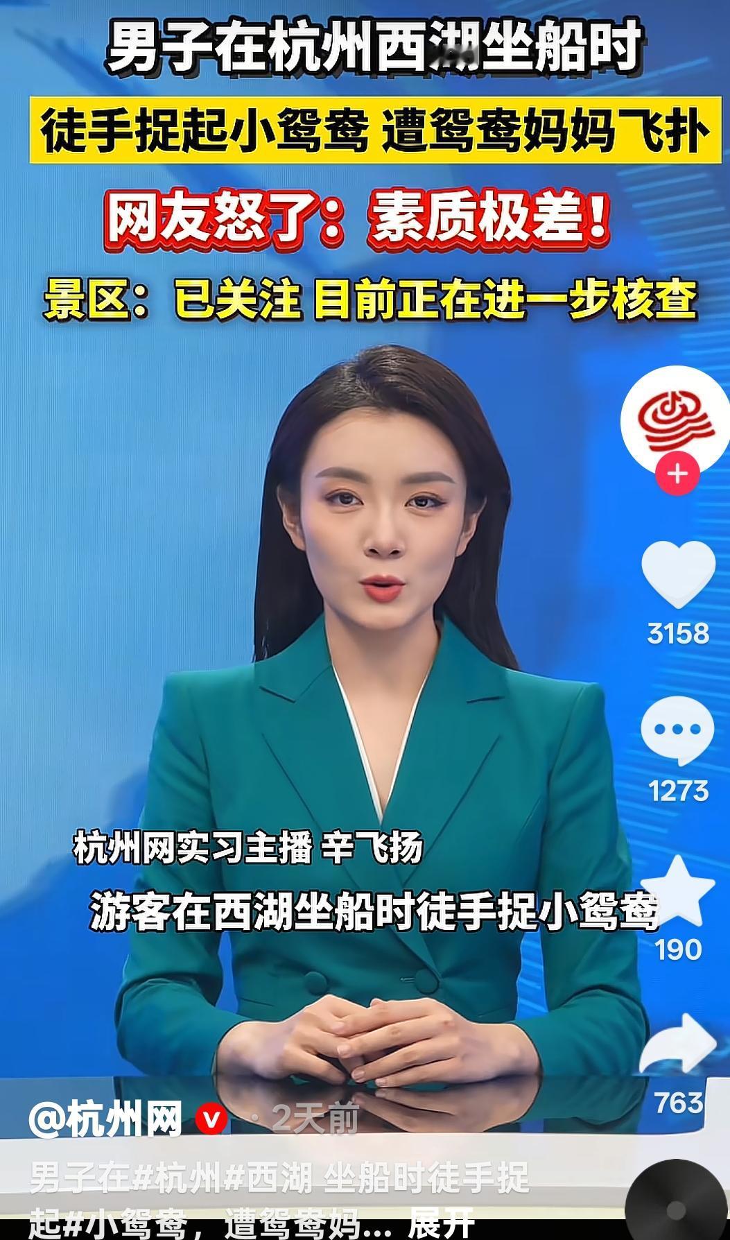 浙江杭州，一名游客在船上，竟然伸手把一只毛茸茸的小鸳鸯给捞了起来，这一举动直接把
