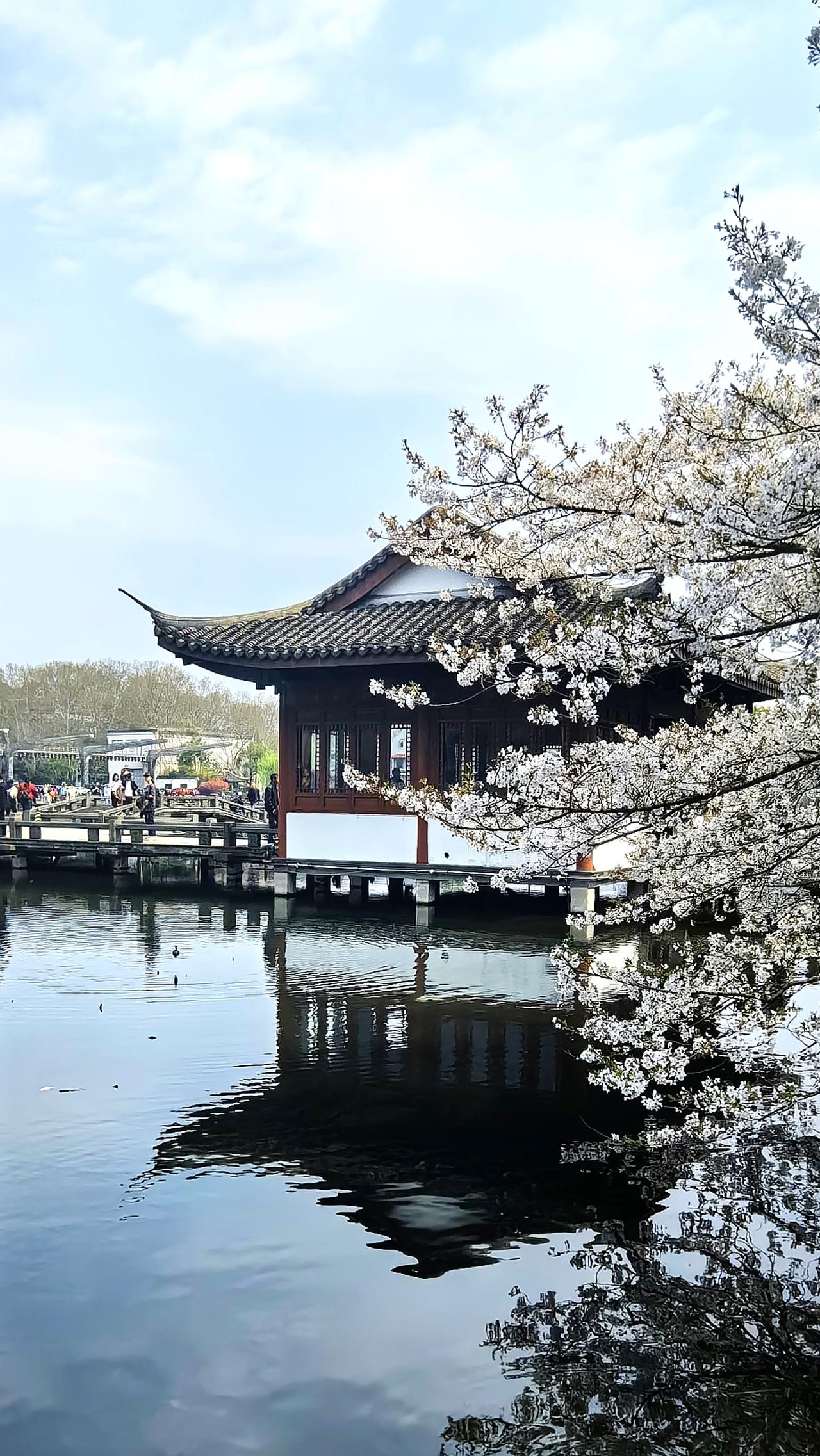 城站是杭州火车站吗？
能将“城站”改名为“杭州站”吗？

本文将追溯“城站”百年