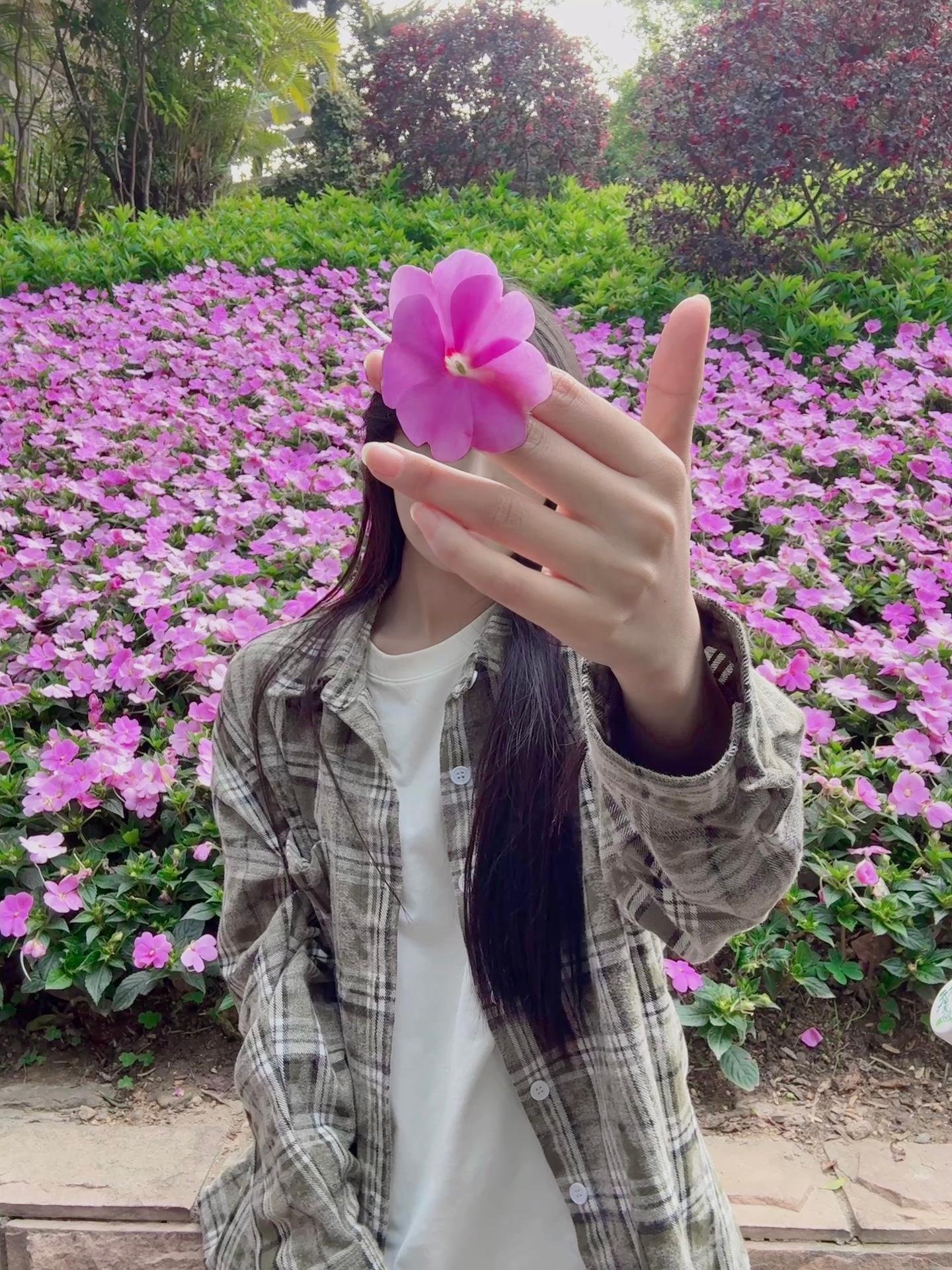 你记得花 花就不会枯萎