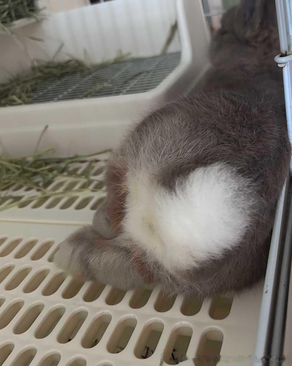 14253🐇【】翻相册翻出一个惊天美味大屁股，有没有懂的
