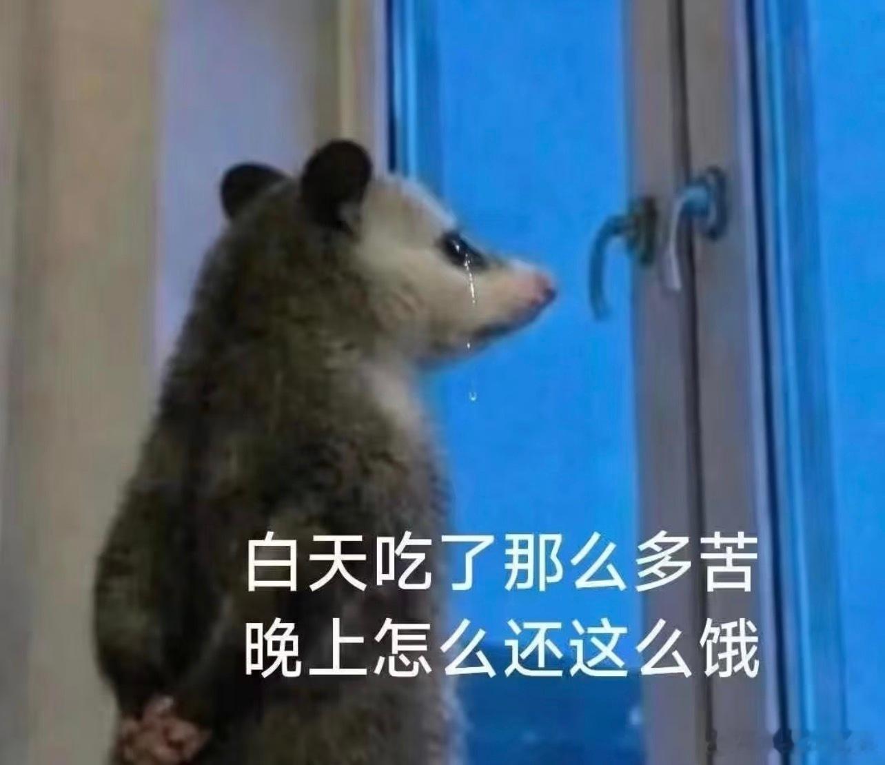 大半夜饿了。 