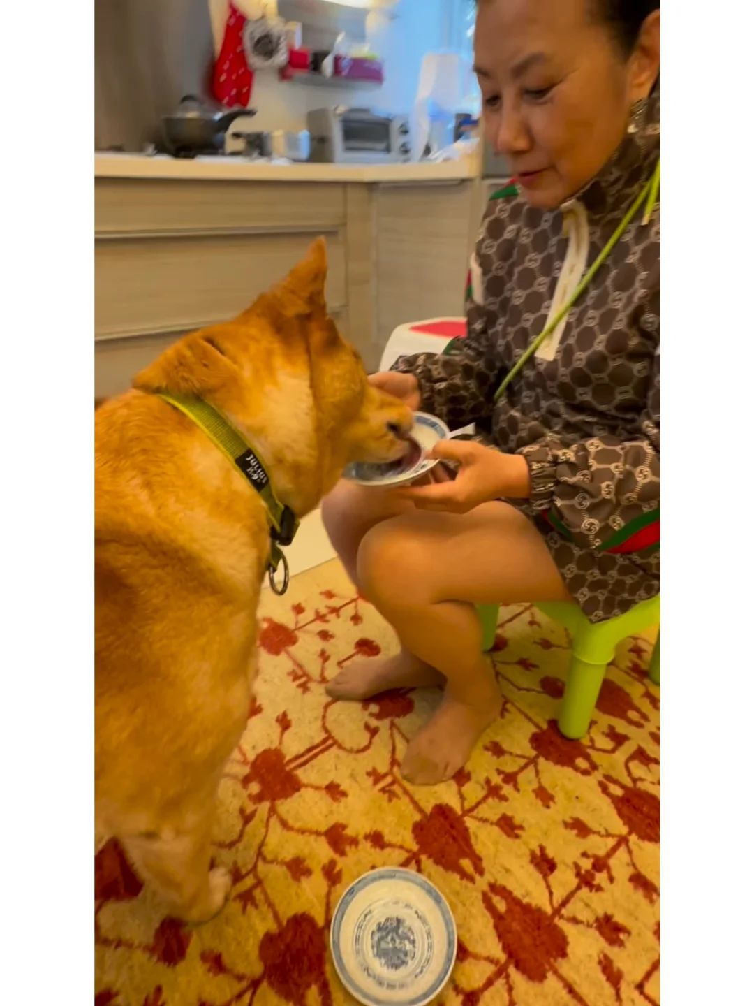 汪明荃罗家英中秋豪宅赏月！为爱犬准备月饼
