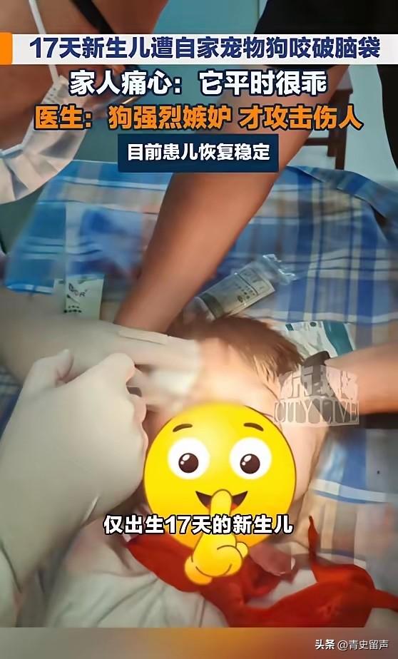“悲剧还是发生了！”7月13日报道，浙江，一对年轻夫妇家里养了只狗，好多年了，平