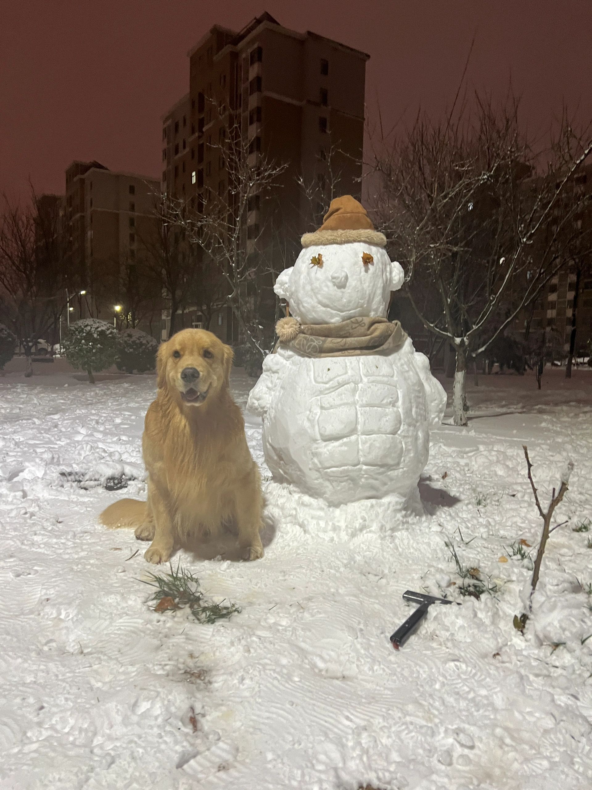 没有腹肌的雪人不是好雪人⛄️