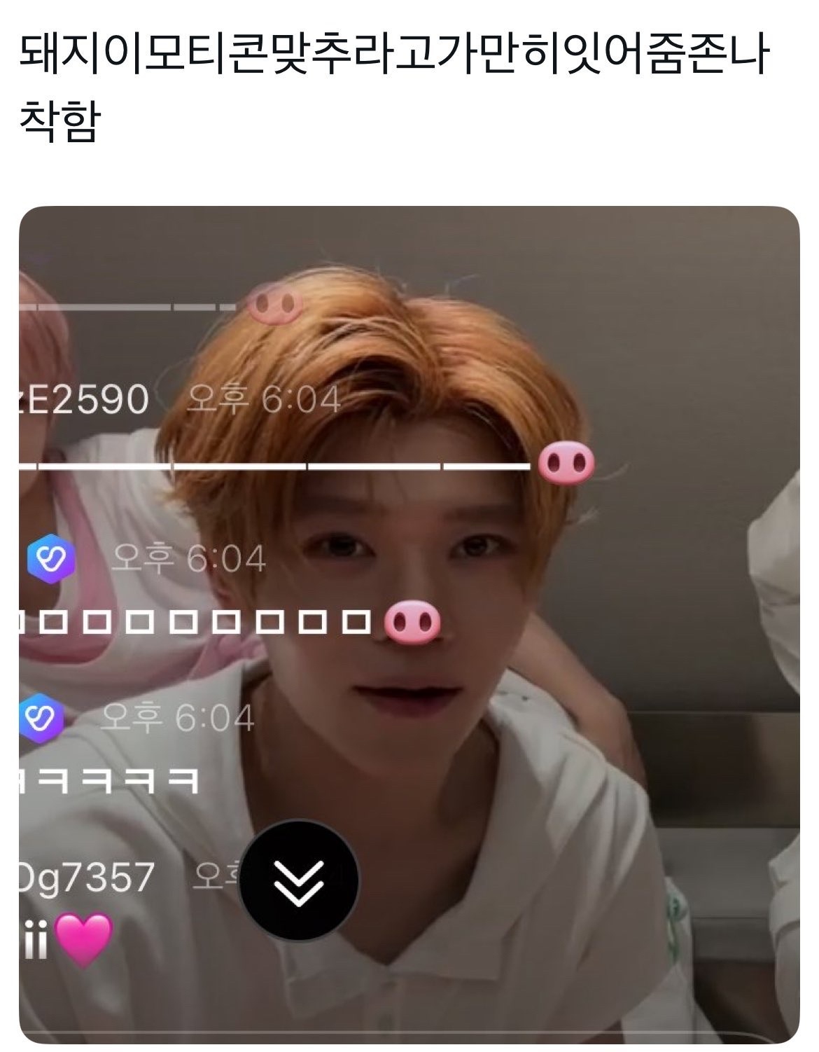 【tg】🐽真可爱©️网页链接