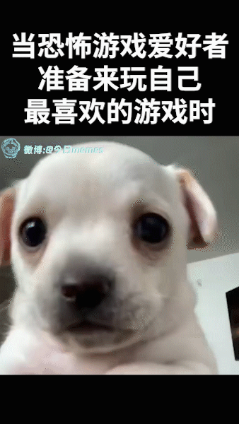 来....（9gag）今日meme 今日memes