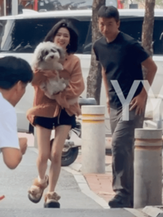 九月“再见了爸爸，今晚我就要远航～”白鹿偷走常华森的狗 ​​​