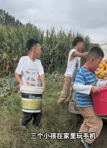 “这法子好！”近日，安徽，三个小孩在玉米地里，一人提着一个装玉米的桶，再把这些玉