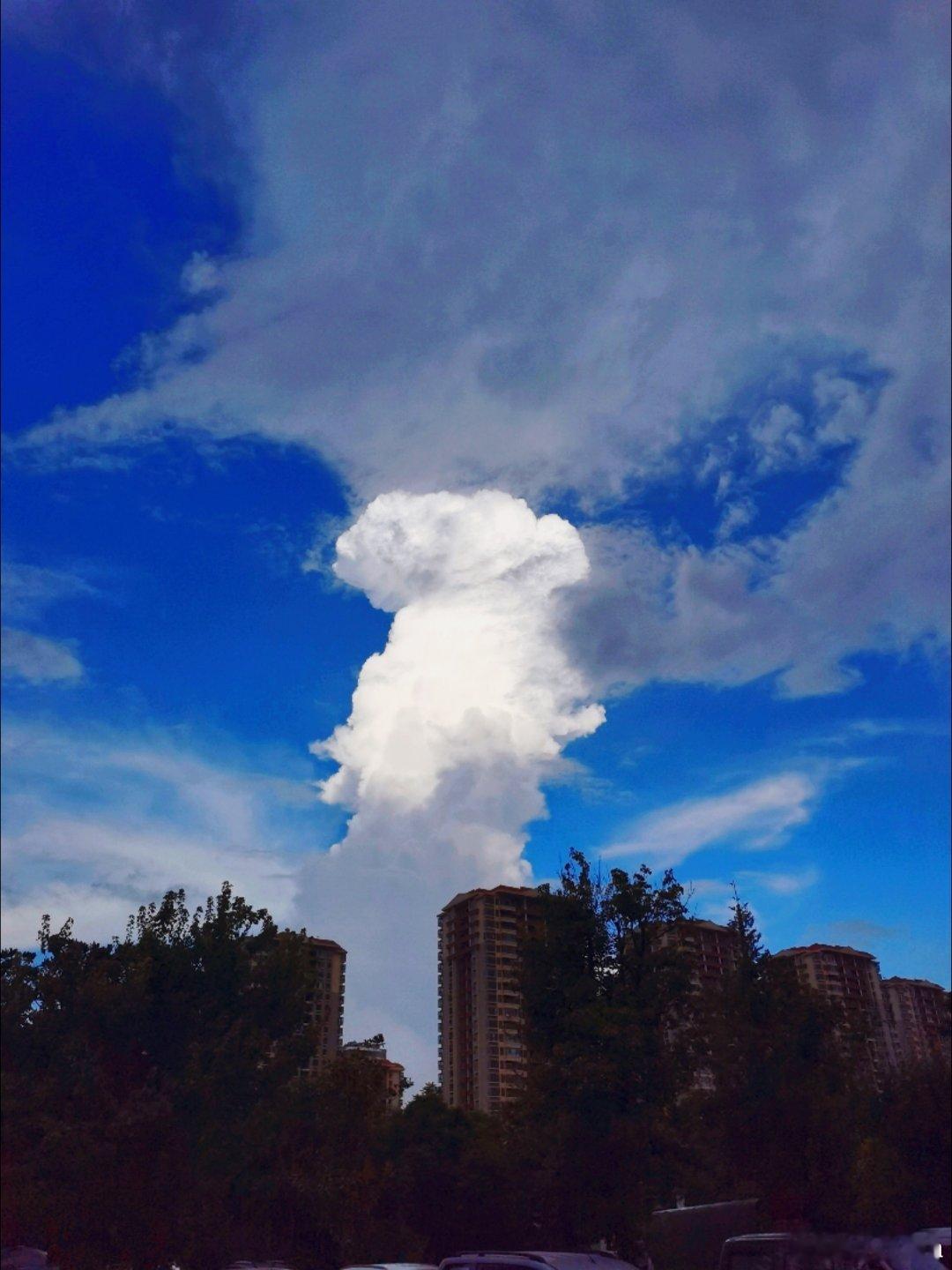这届微小说作者全是狠人微小说到底藏了多少神作书评 人间最寻常的是名利财富，最难求