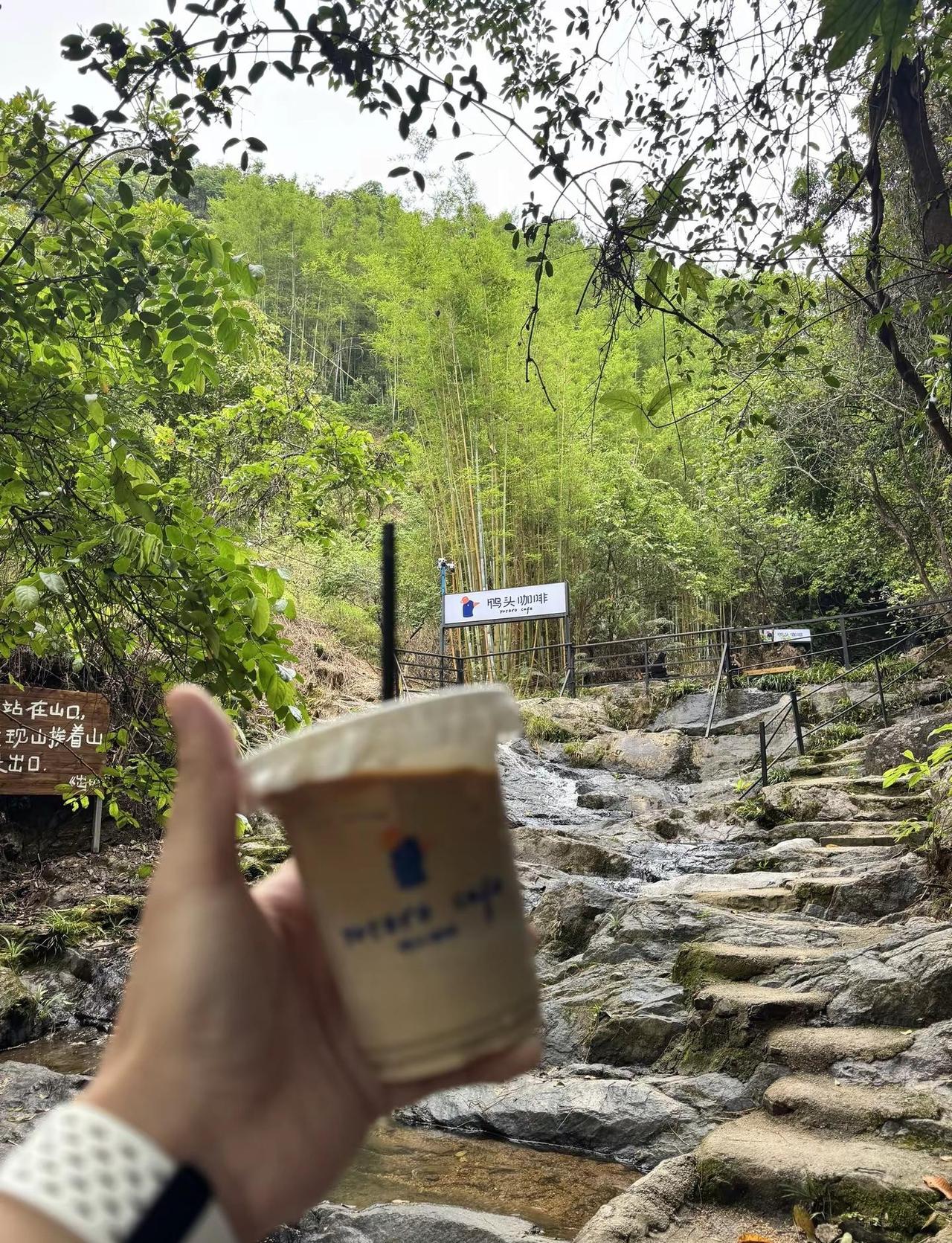 🌿青山依旧，绿水长流，愿岁月静好，你我安然。 清凉山溪