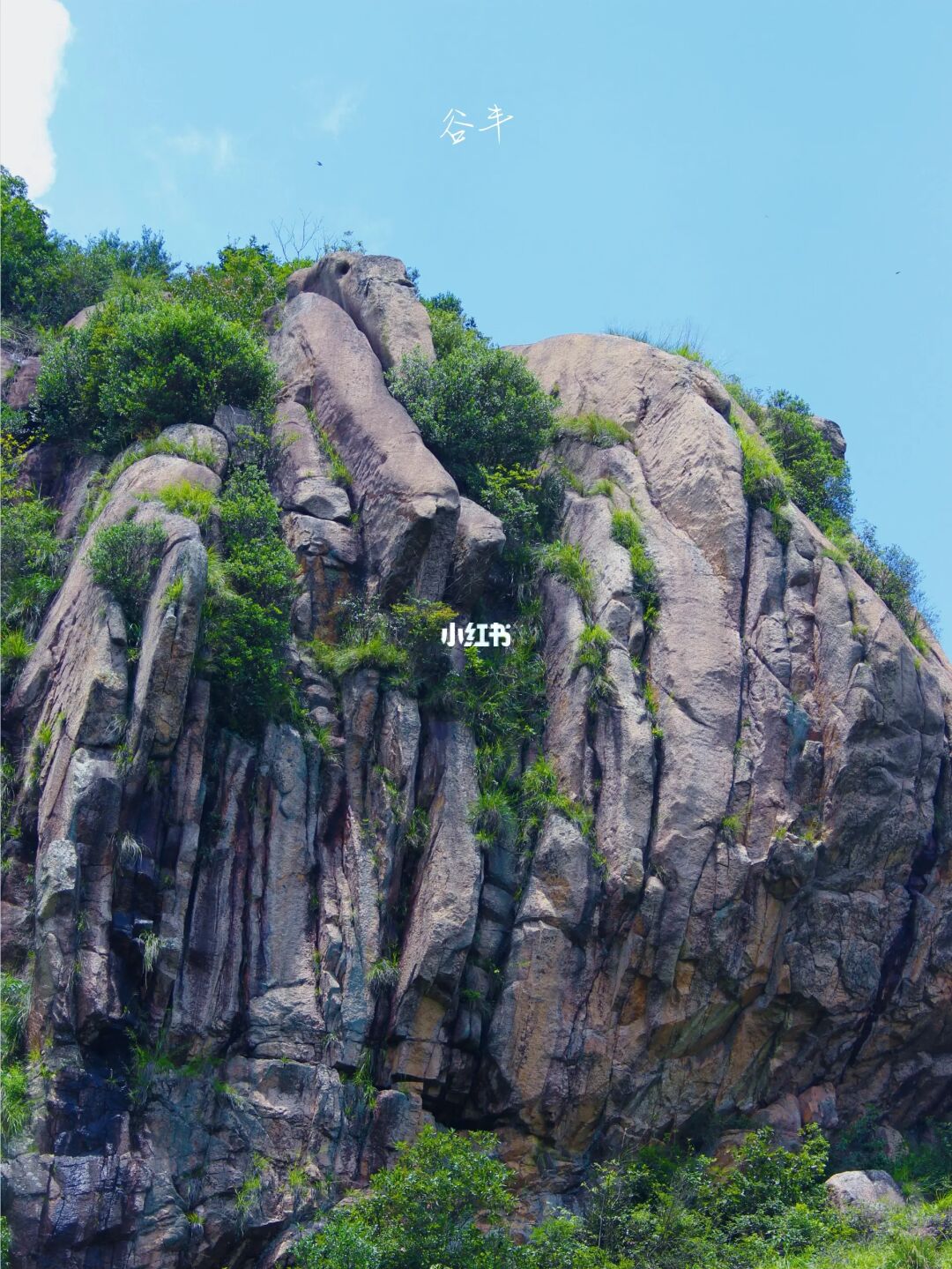 浙江小众秘境❗️朋友都以为我去了黄山