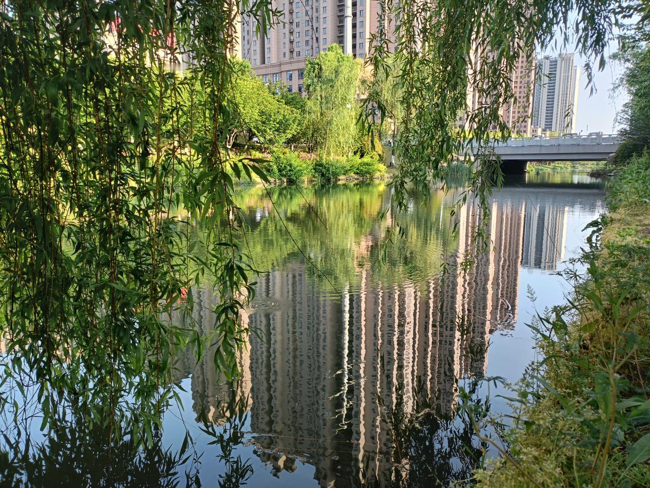 朋友打电话说她被物业公司告到法院了，原来朋友在2018年投资一套电梯房，准备大赚