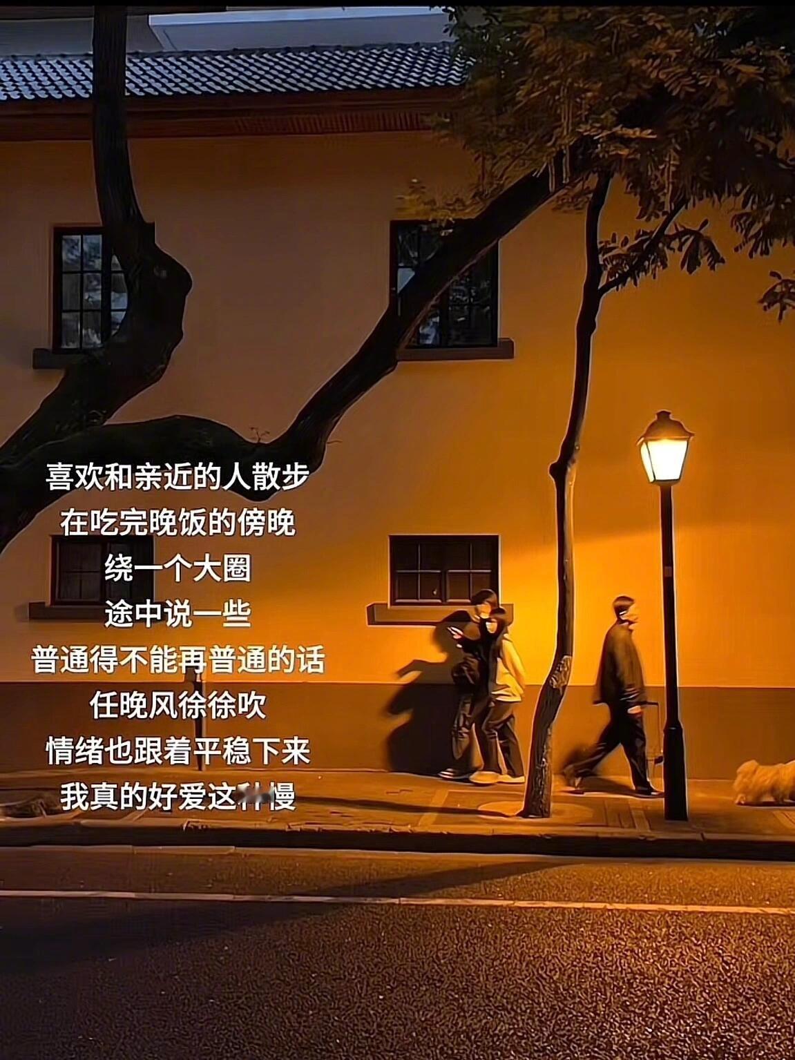 喜欢和亲近的人散步。 