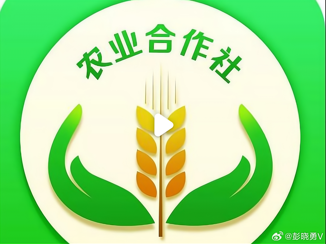 彭晓勇说《集体合作社的治理架构》集体合作社的管理机制以民主决策、权责对等、公开透