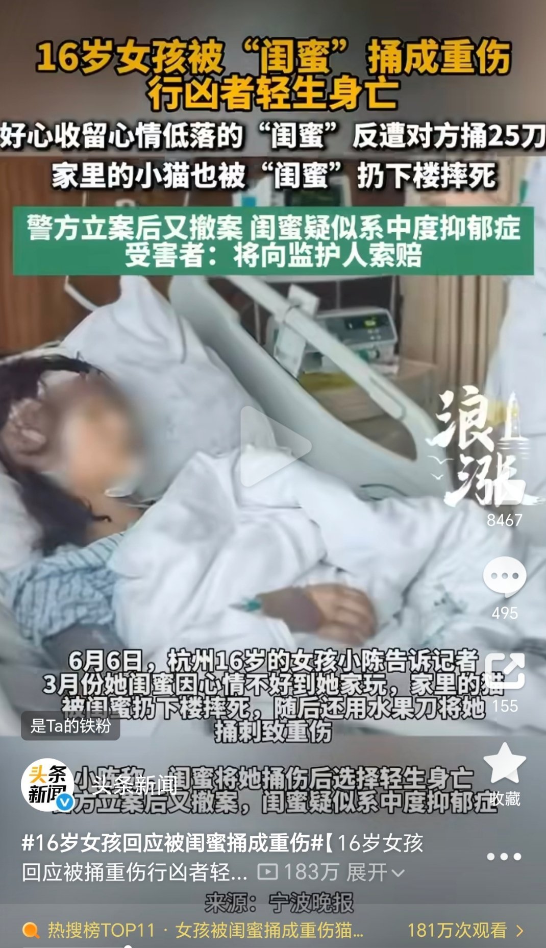 女孩被闺蜜捅成重伤猫被摔死girl hanter girl