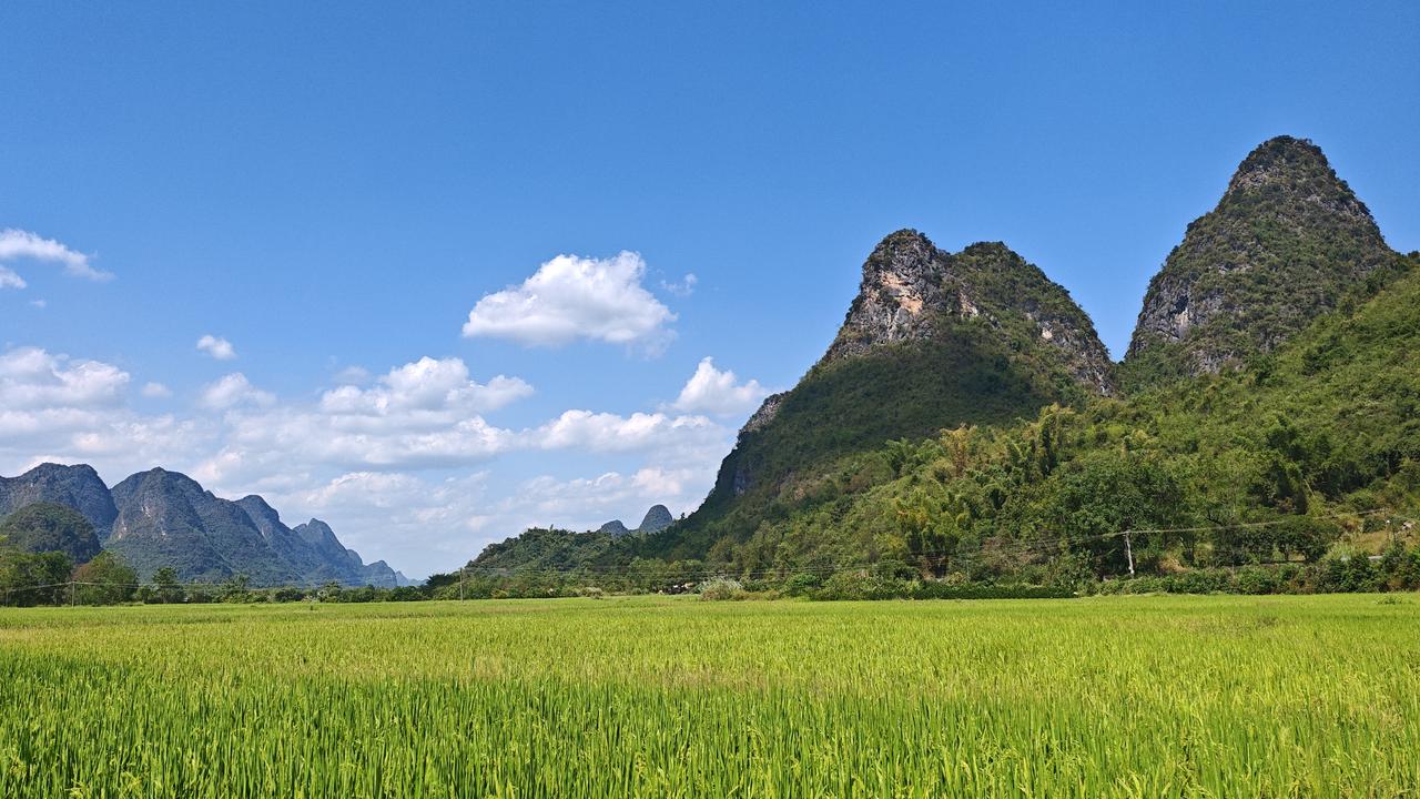 广西阳朔遇龙河景区秋色宜人大美阳朔.遇龙河秋色