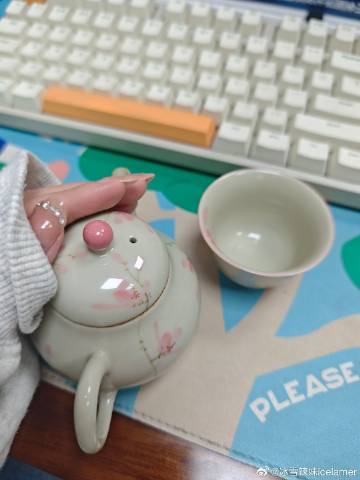 本年度最爱用的冬季物品，小茶壶，添完热水可以当汤婆子，还能泡茶，在一斟...