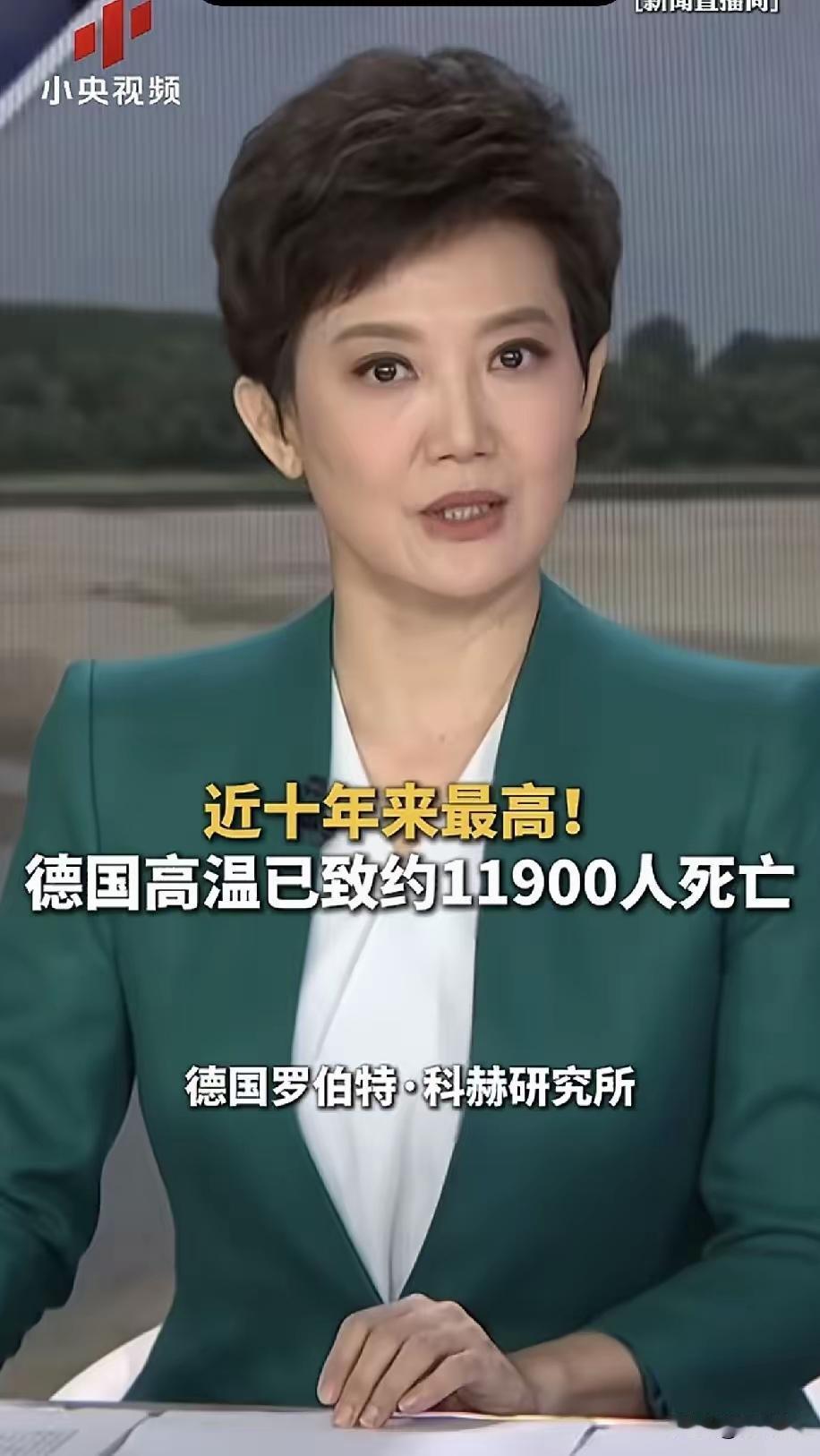 德国高温已致约11900人死亡，这是近十年来最高。
      听起来就有点令人