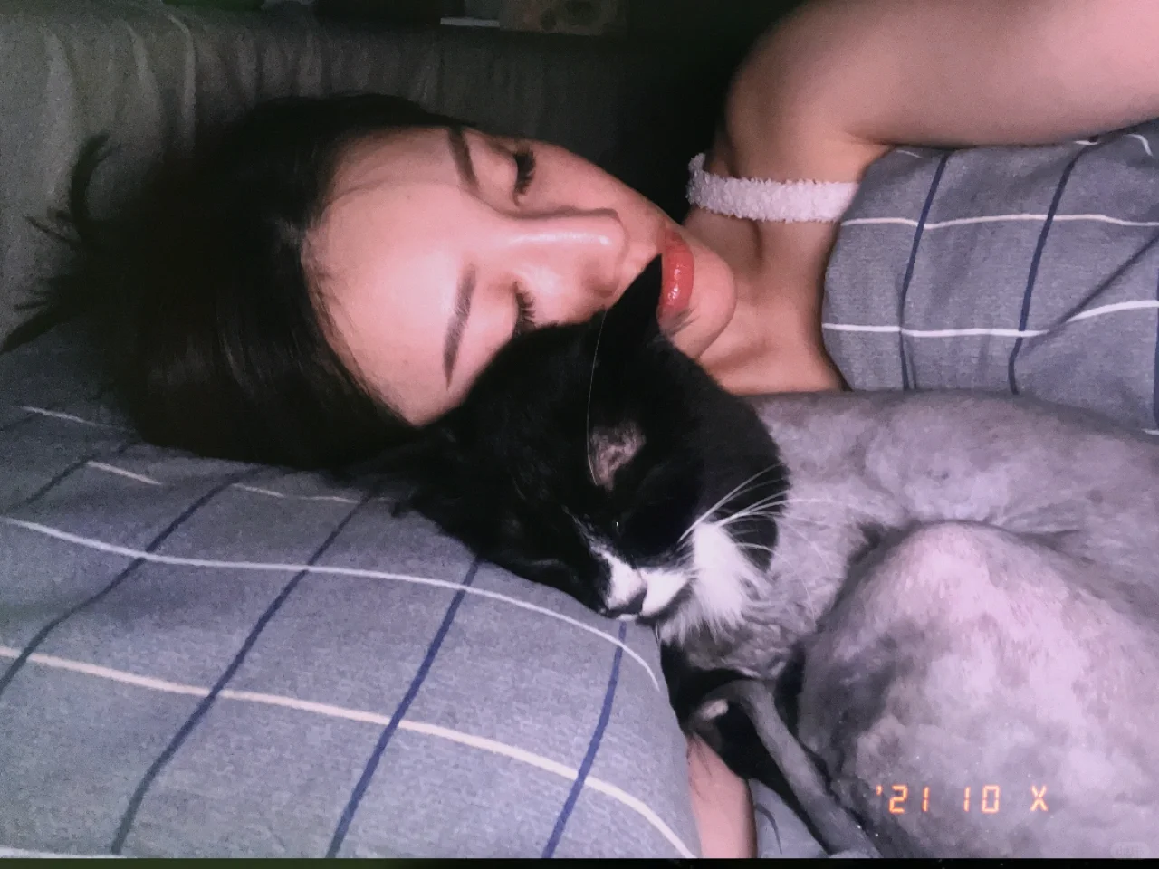 小猫咪的眼里只有你