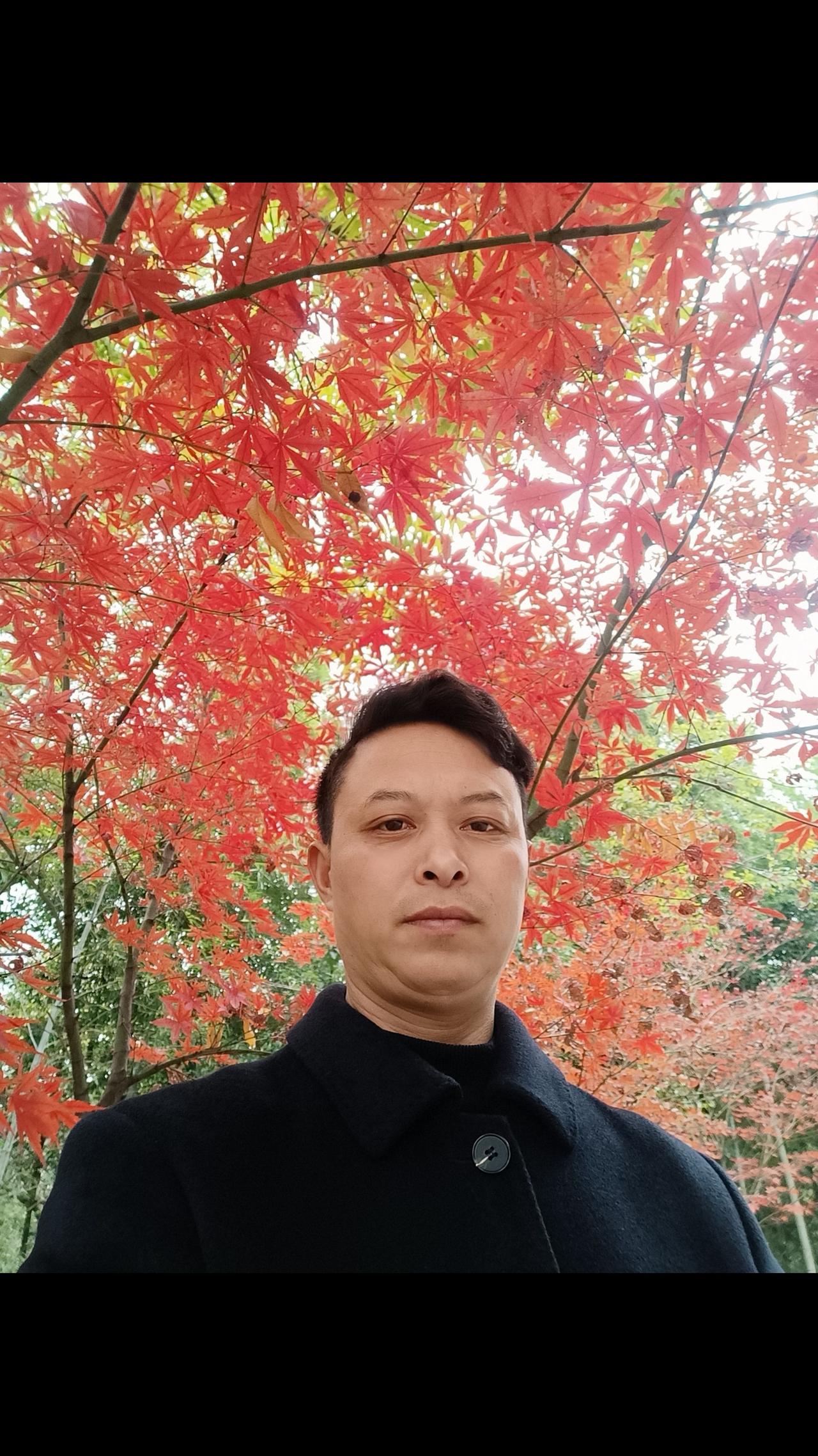 又到了赏枫叶的时候了