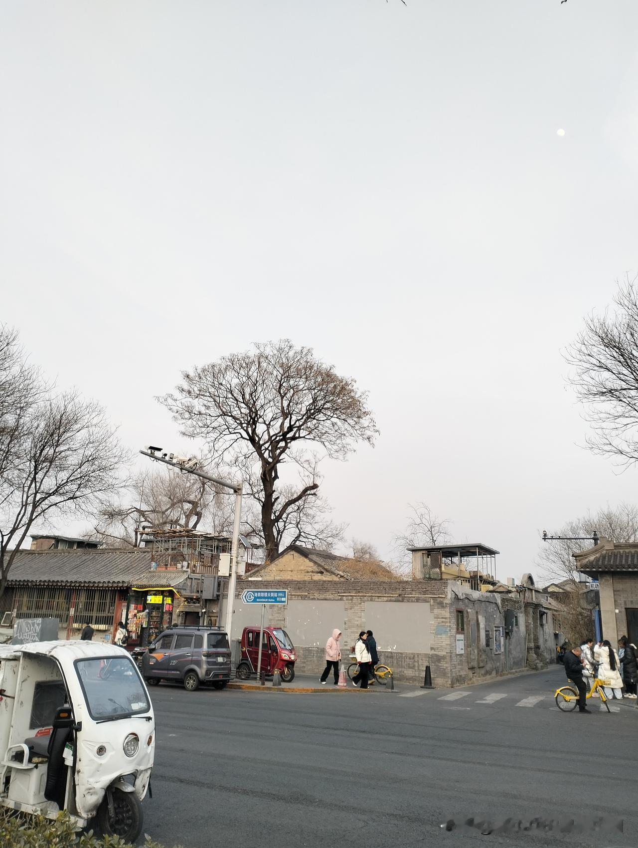 今年冬天的不同