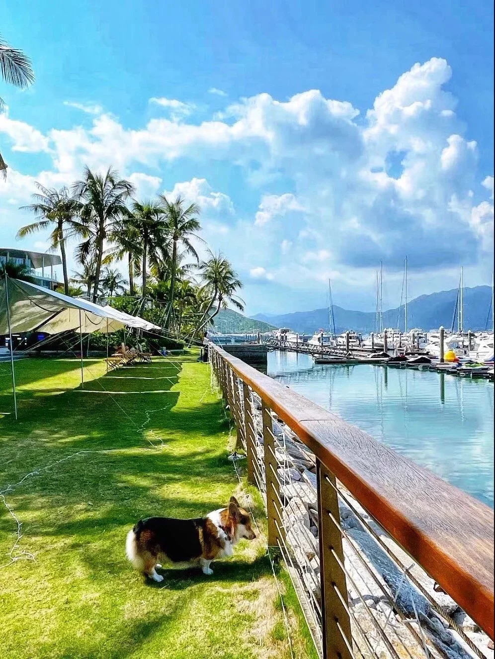 深圳版的马尔代夫🏝️桔钓沙酒店‼️买一送一