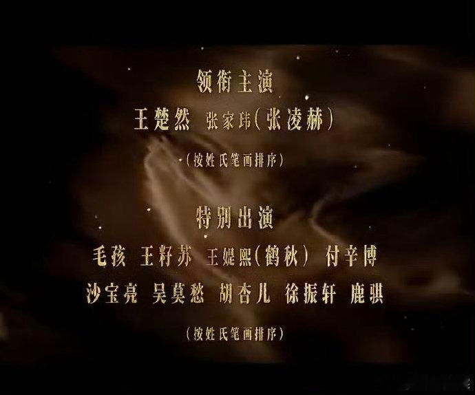 王楚然张家玮按姓氏笔画排 这一秒过火番位按姓氏笔画排序 清冷氛围感女主搭配深情男