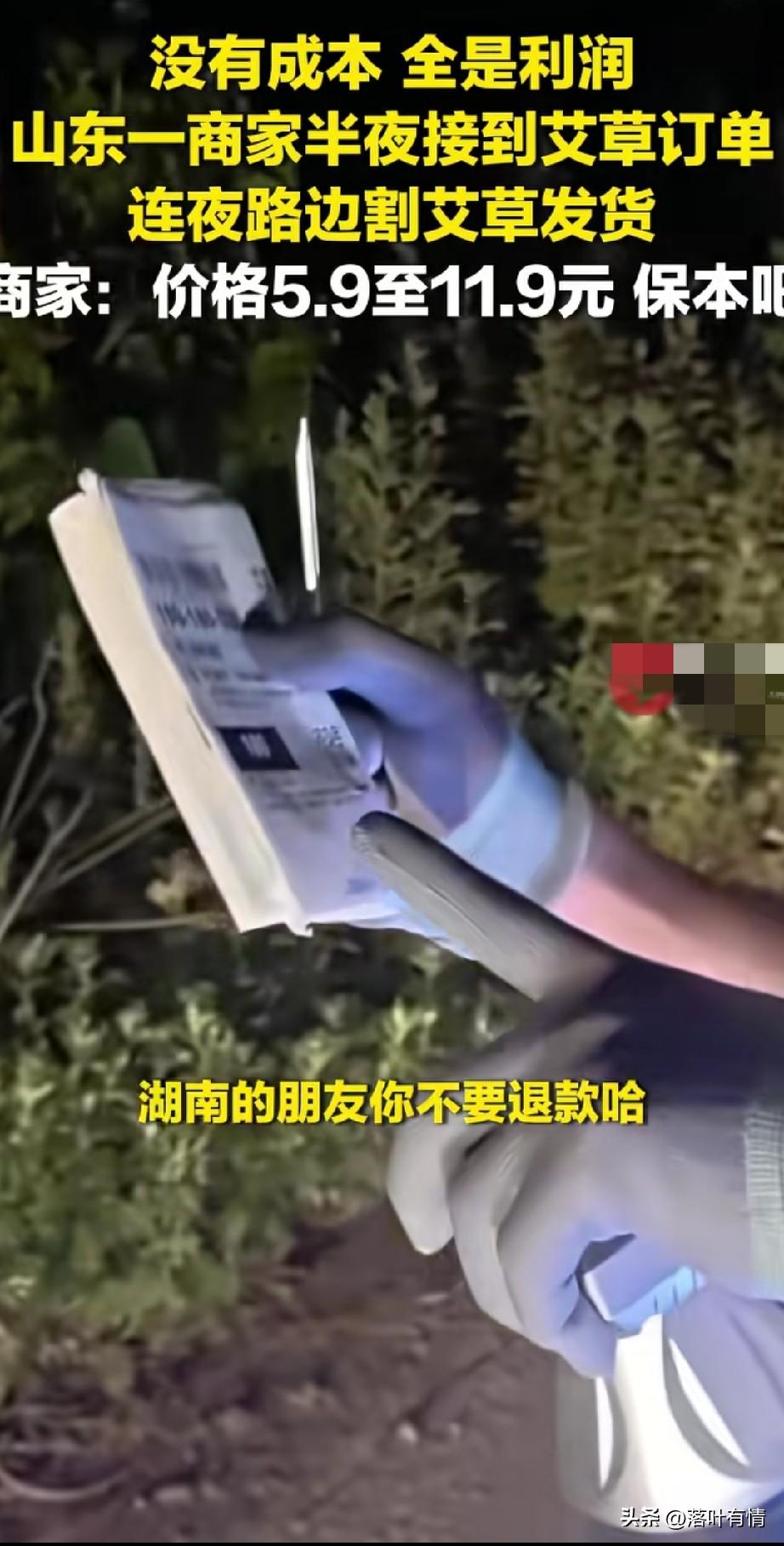 大家有没有发现最近买艾草的多了，
不仅是网上卖的很火，
旁边的路边摊卖的也很多！