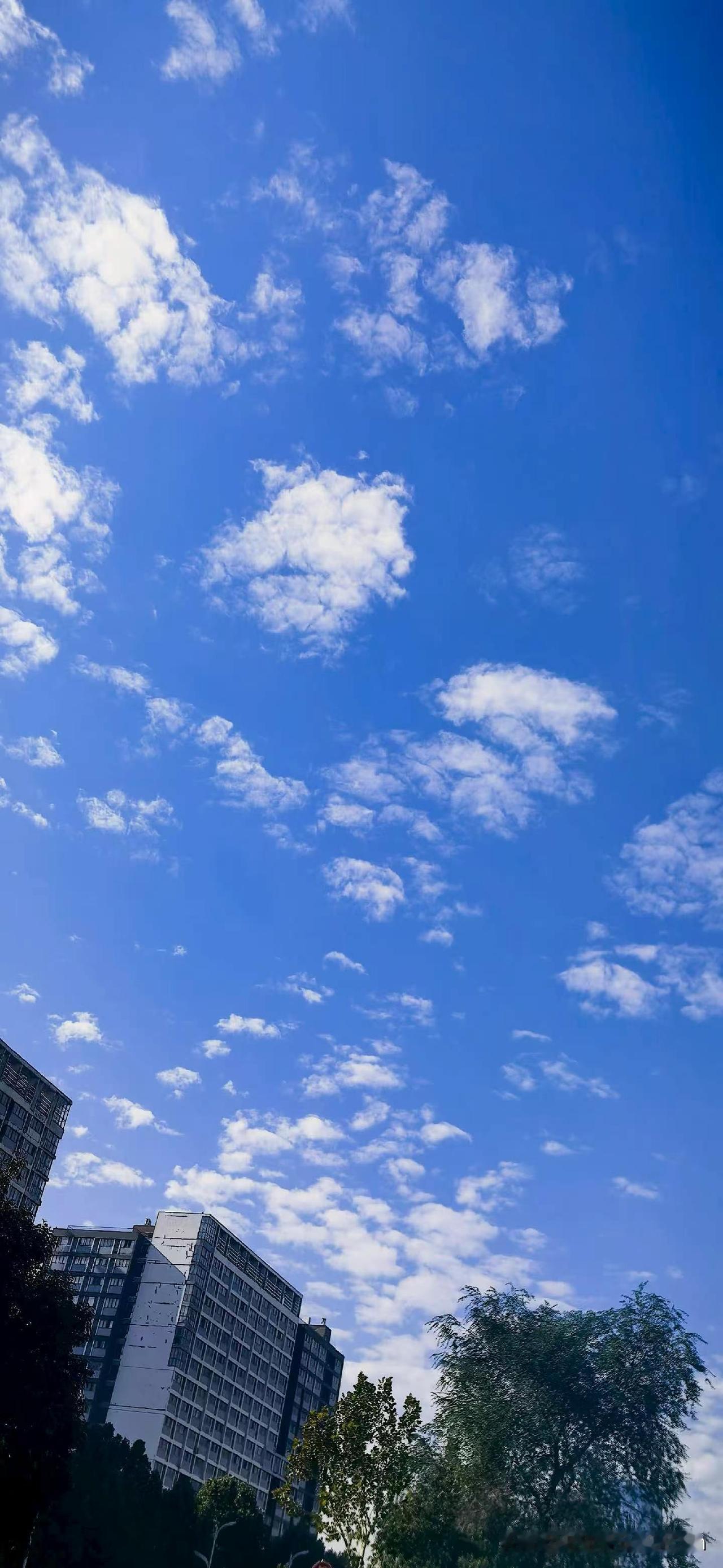 今天的天空真漂亮