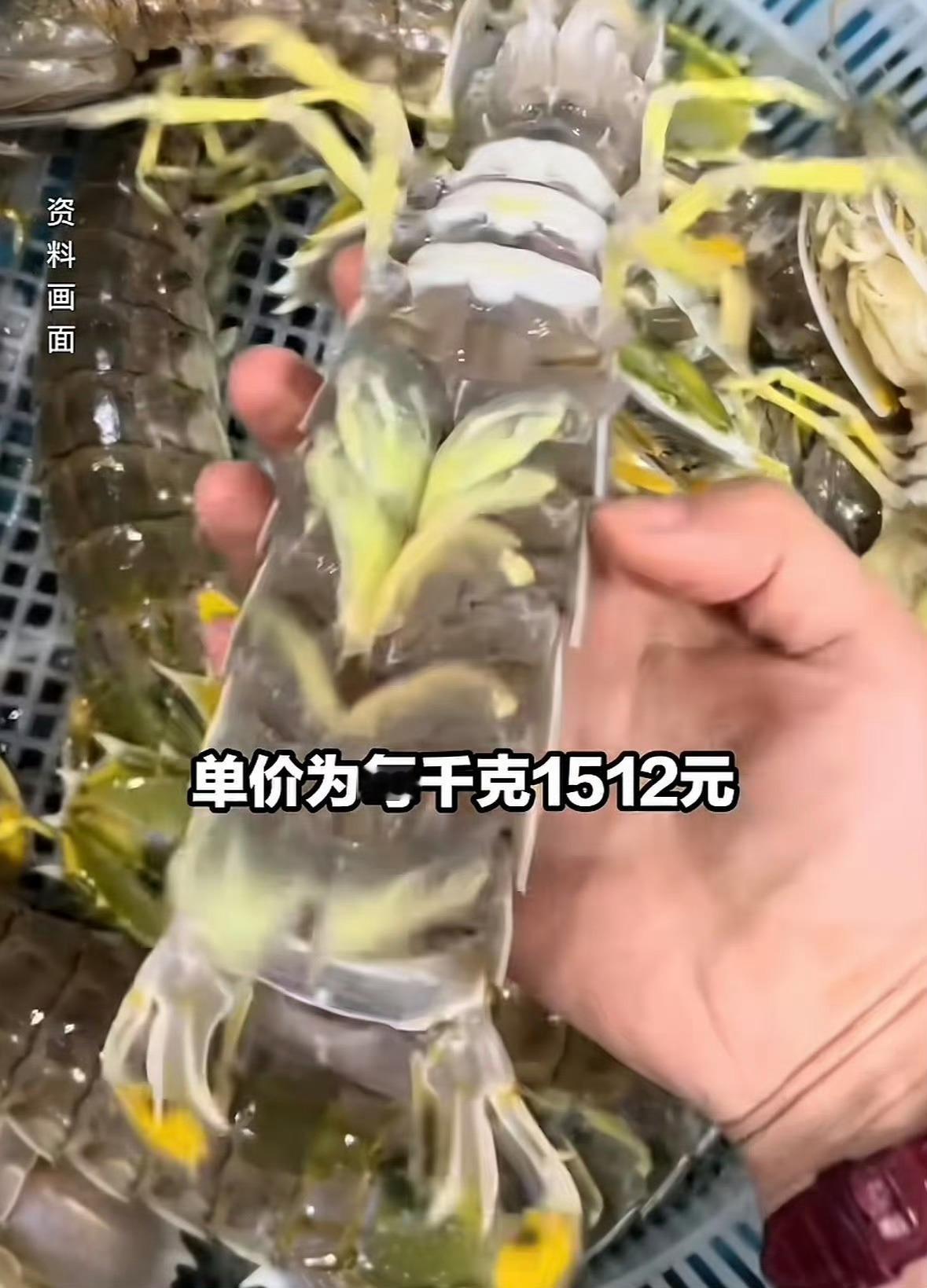 网友曝三亚4只皮皮虾收费1035元如果是这种虾的话，四只1035元很正常，毕竟在