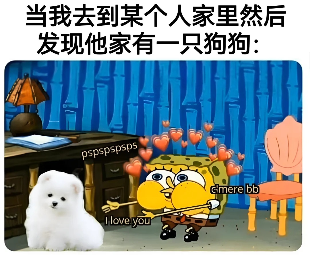 过年回老家的我 meme  / 