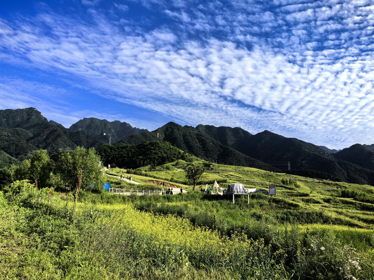 发一张图证明你来过秦岭主角拍摄地