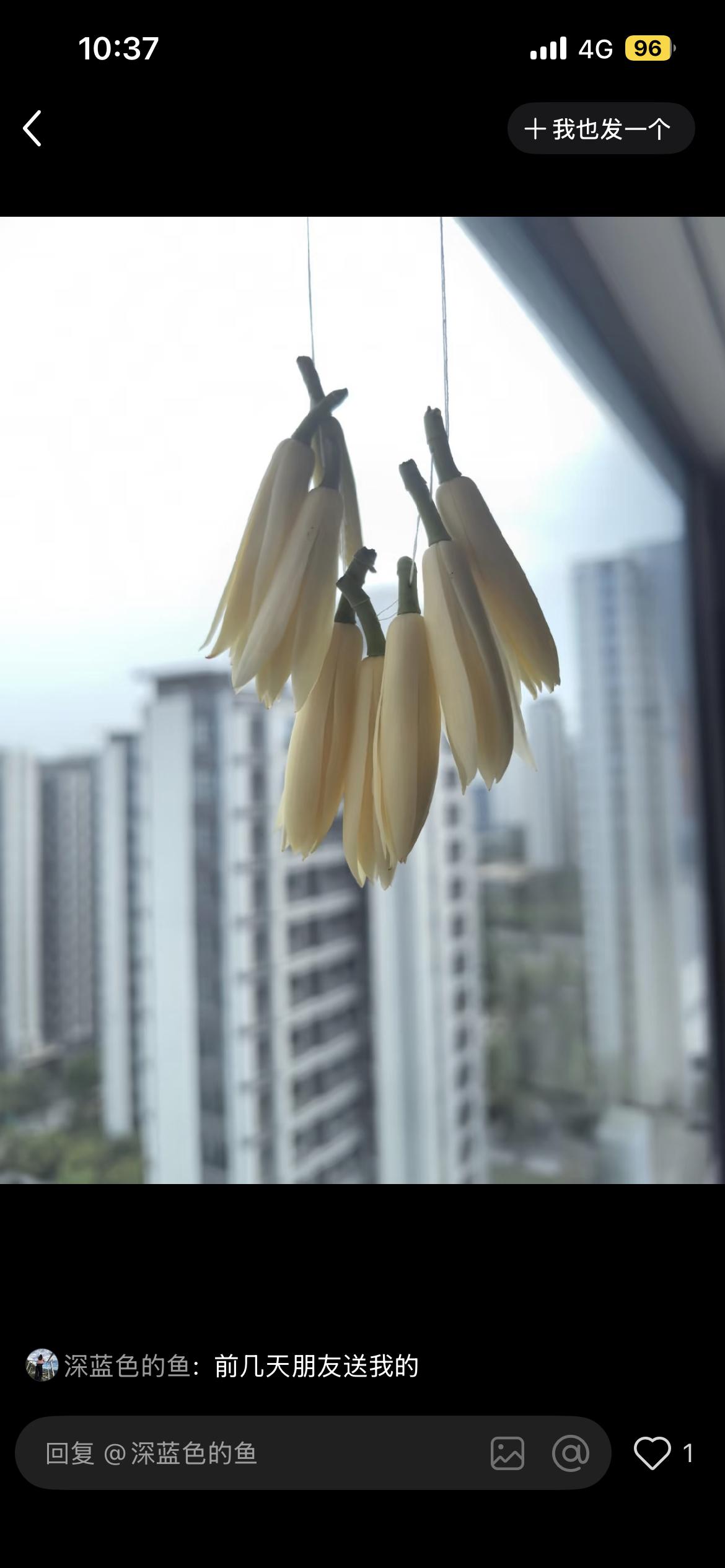 一位高人说：“40岁，就是没意思了，没那么爱凑热闹了。到了这个年纪，生活平平淡淡