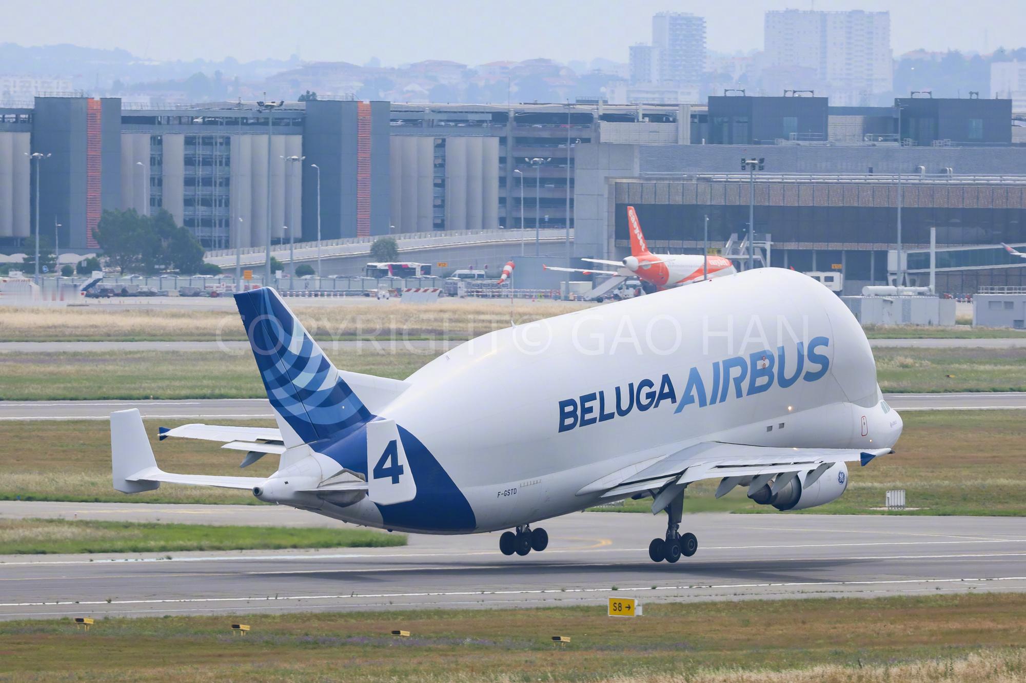 航空君航空科普 同一天拍到3架大白鲸，两架前一代，三架新一代XL，这个运气如何？