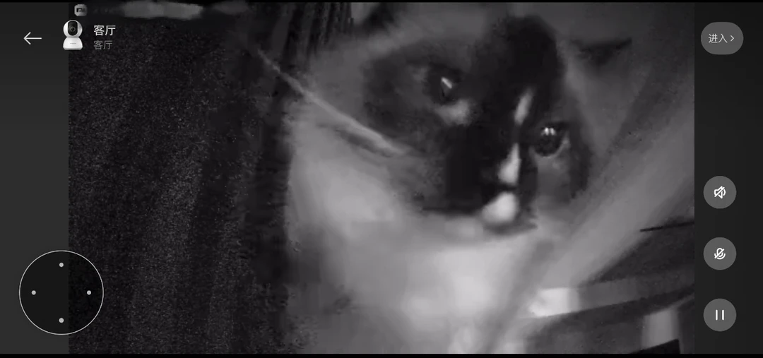 不在家的时候没猫粮了be like…
