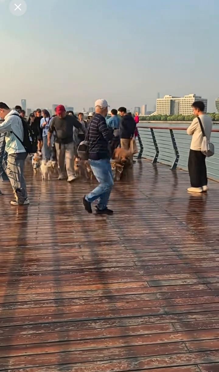 哈哈哈。