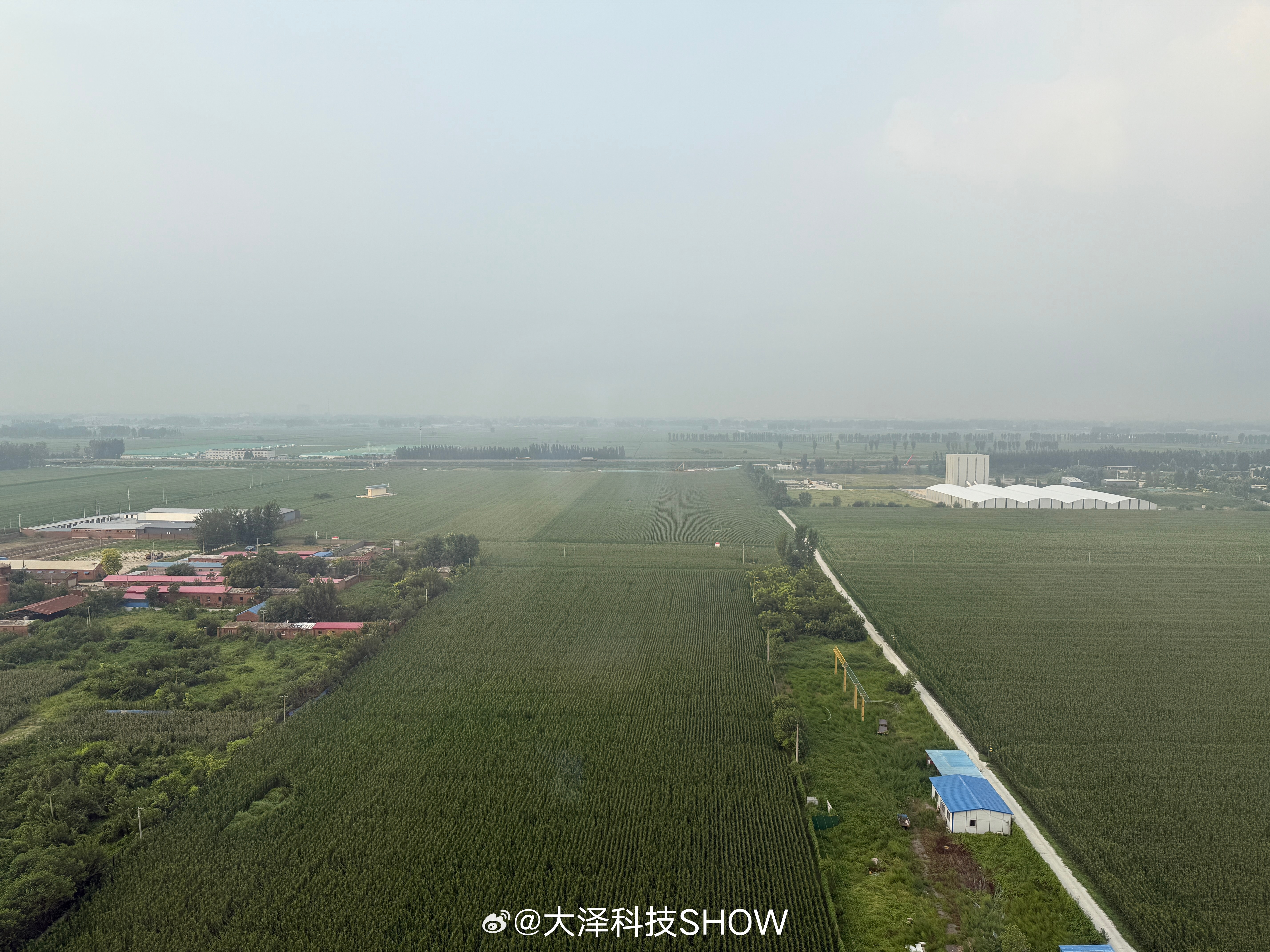醒来就是一片绿油油，我建议赵露思少说话，找一山清水秀的地儿好好养身体，不然真就没