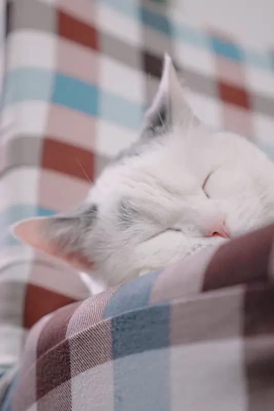 于我而言，最好的良药从来不是轰轰烈烈的治愈，而是那些安静又踏实的小事：
是好好睡