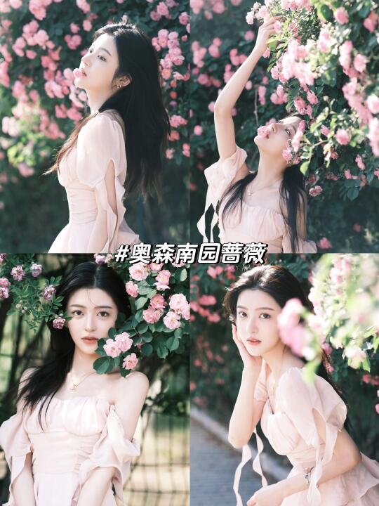 北京花季去哪儿拍？看篇就够啦「附详细攻略」