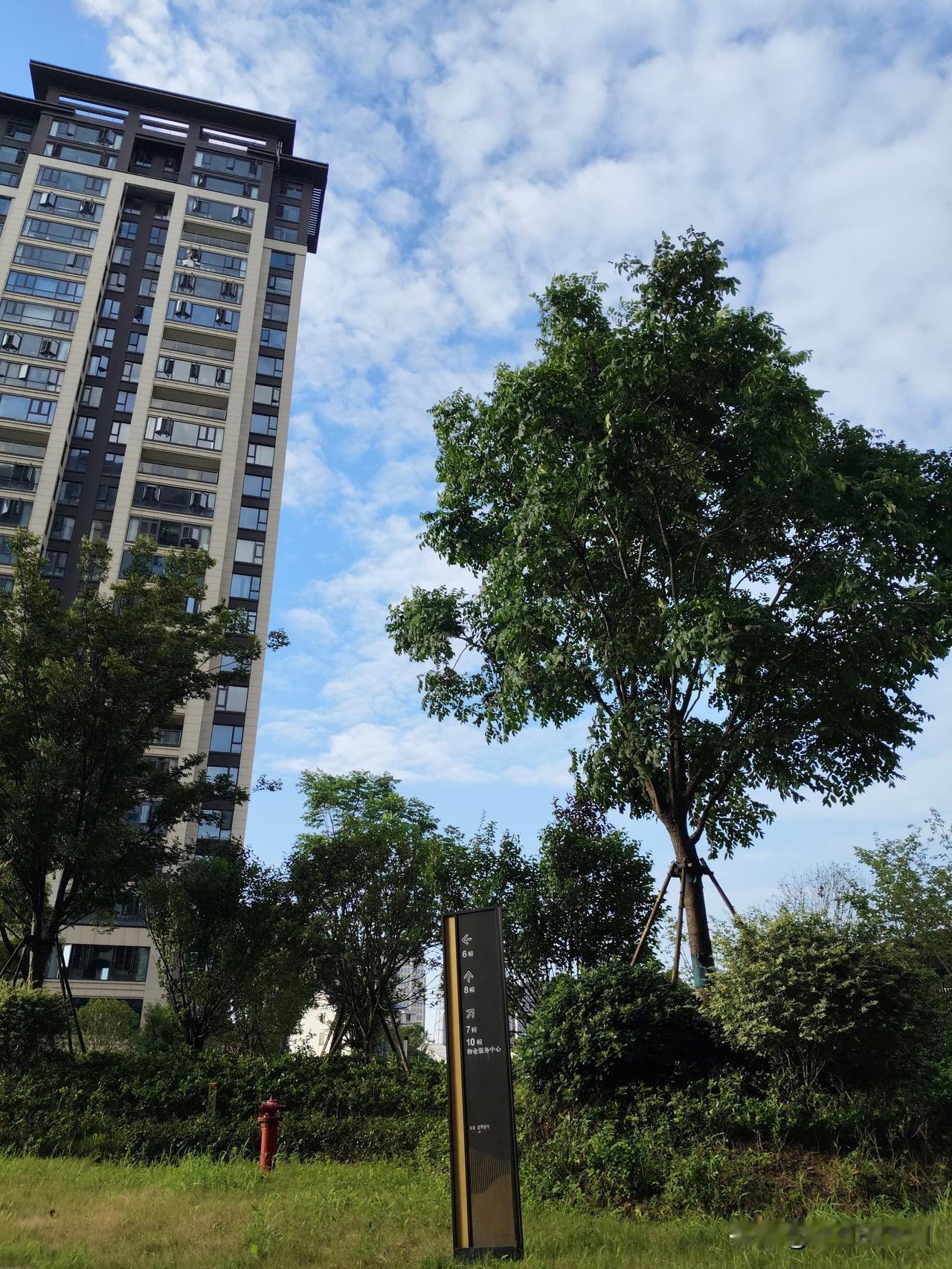 好久没看见蓝天白云了，天空还要等到几时放晴，每天湿答答滴