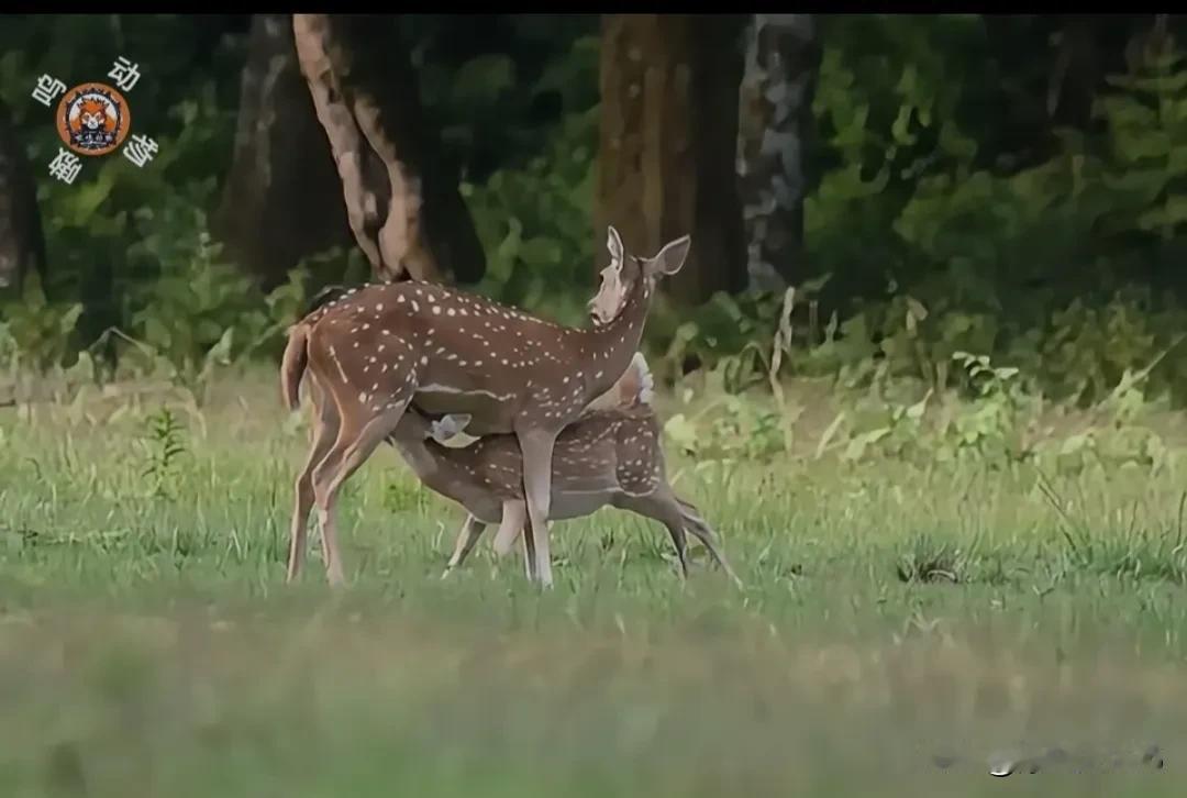 得一味真如