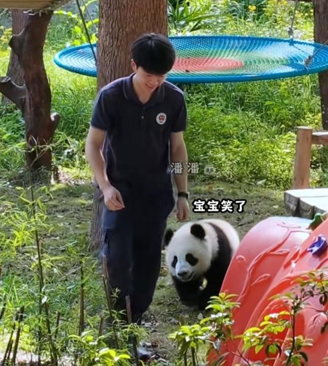 淘气可爱的社牛小月亮带着年轻帅气的苗苗奶爸上央视，小月亮在外场追着苗苗奶爸玩，两