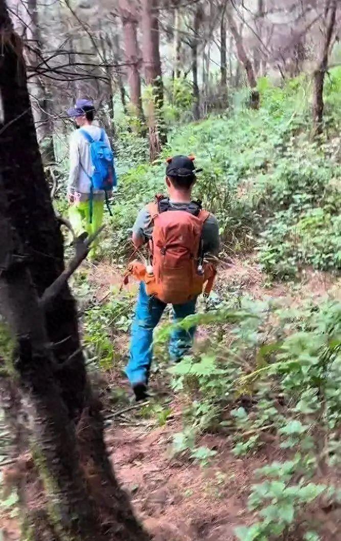 自闭男孩大理苍山失联后续：救援队员发声，原来一切早有迹象
 
8月9日那天，太阳