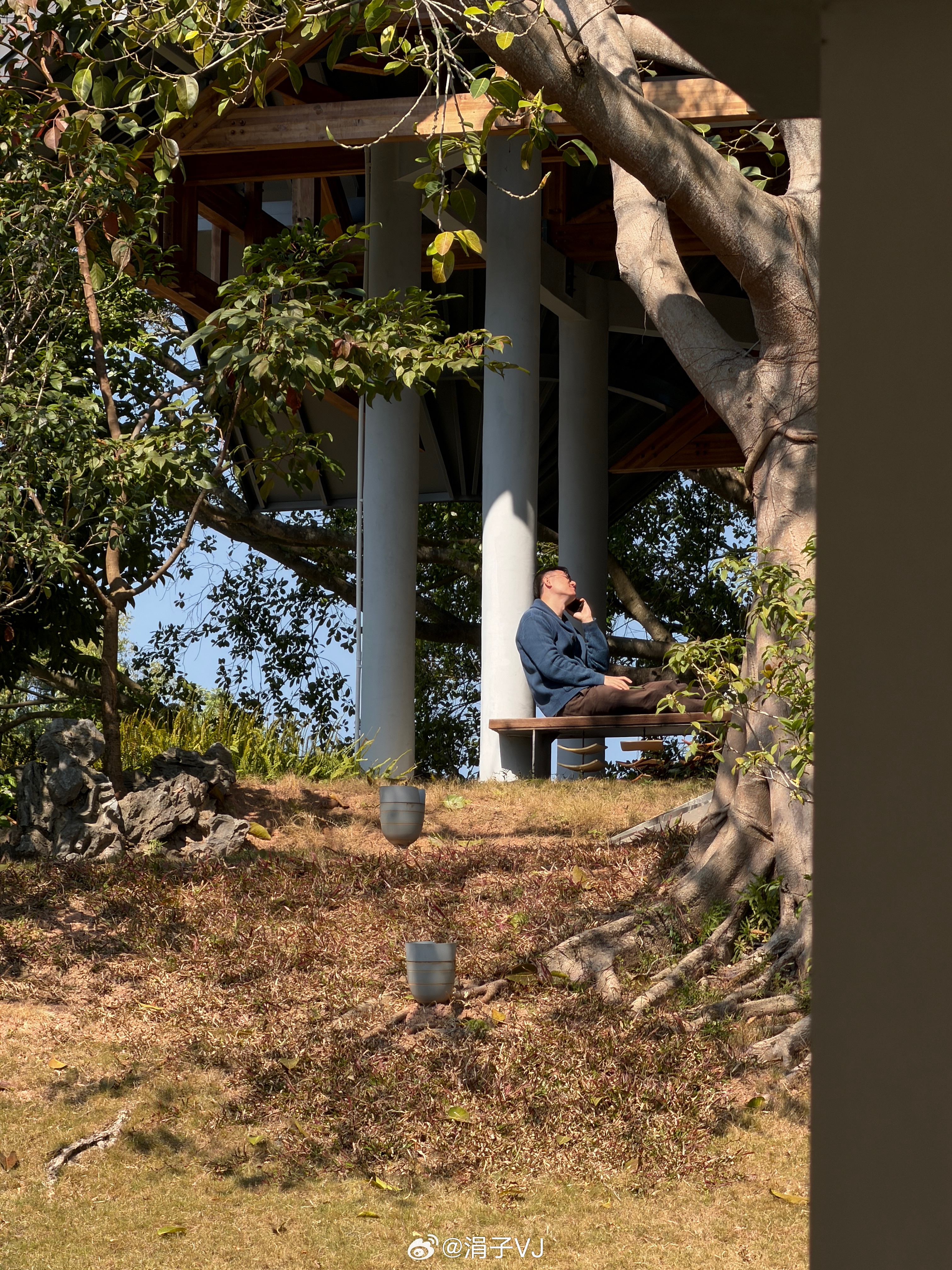 深圳的冬天，挺舒服。抬头看到有个熟人在晒太阳。散歩晒太阳🌞就像回到小时候看到的