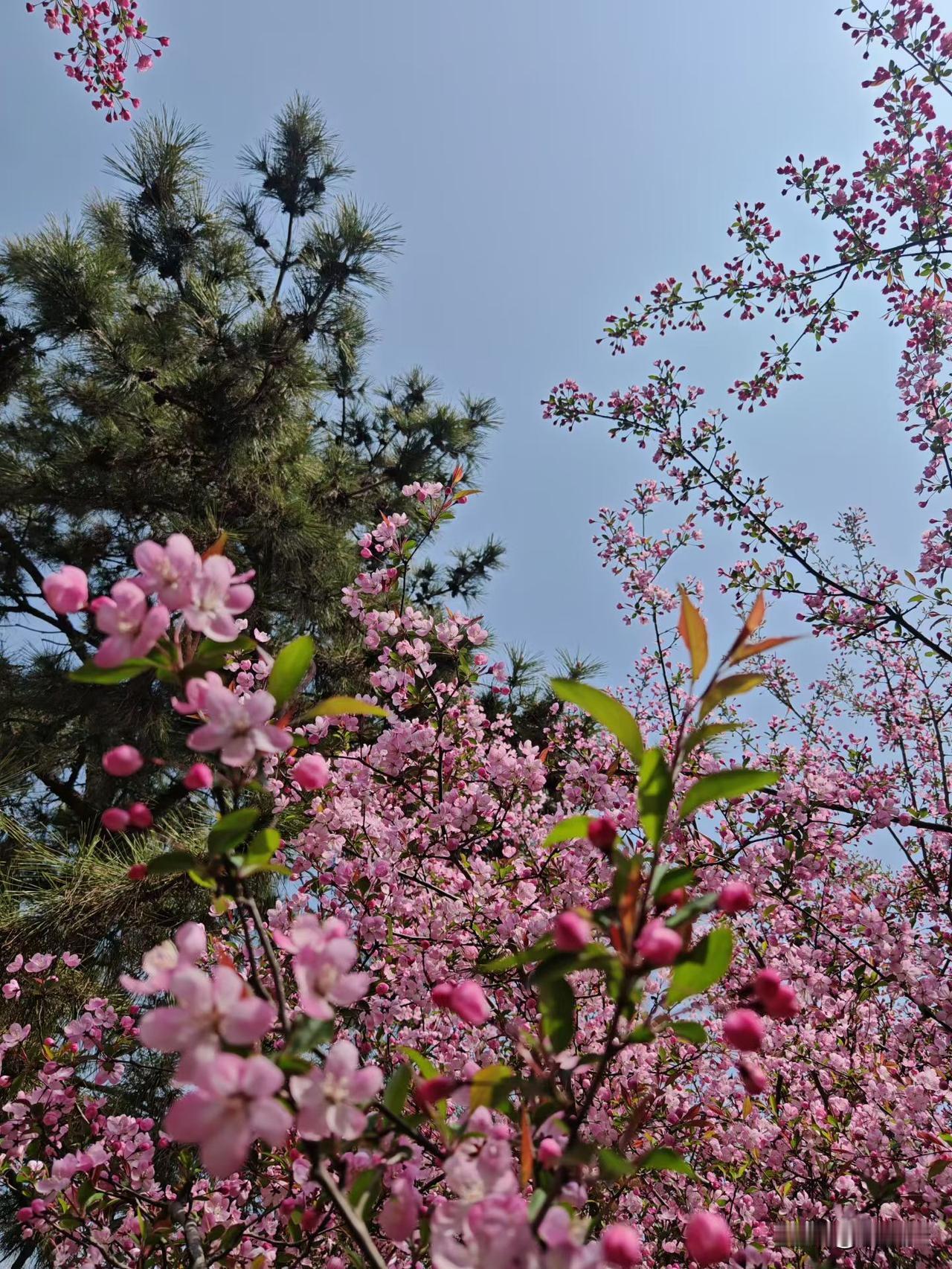 人啊千万别内耗，改变不了的事情就不要哭泣。

一个朋友两口子在那哭泣，说120万