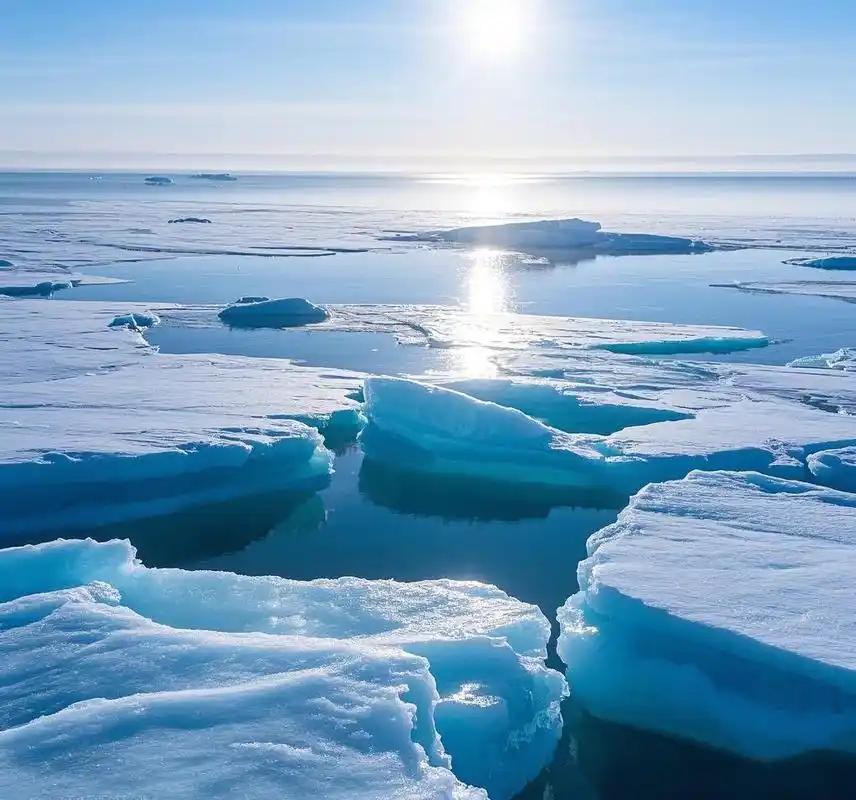 并非巧取豪夺，而是公然强占。特朗普于社交媒体宣称：“20年来，北约不断提醒丹麦，