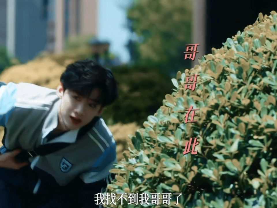 哥哥在此我哥可帅了嗯嗯额图文不符桑延你怎么看 