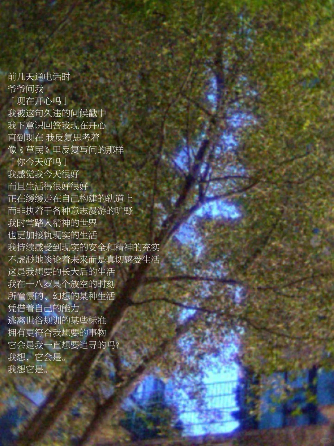 我在寂静之中享受生长，享受摇摇晃晃的人生