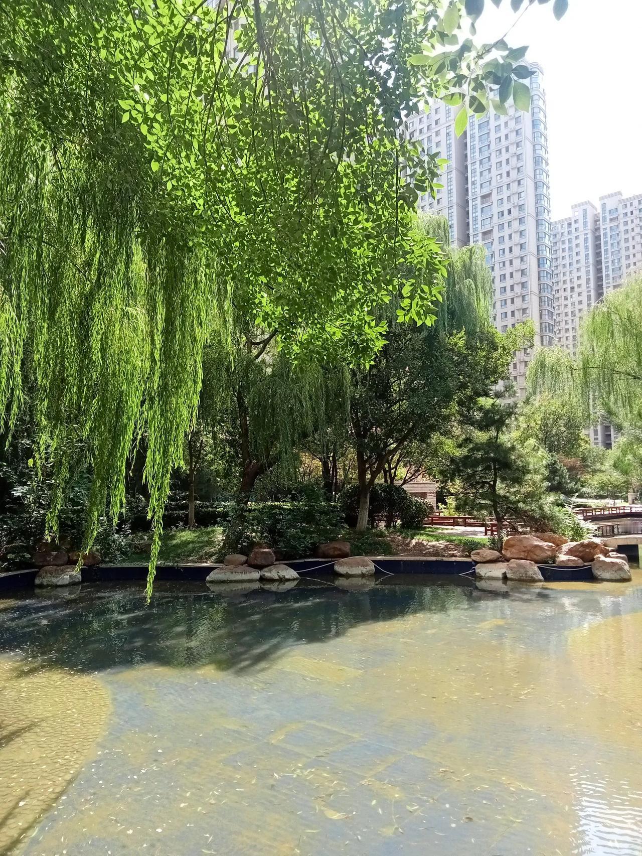 由此剧我联想到如今也经历了几次机构改革，我觉得人员不但没减少，反而增多了，机构愈