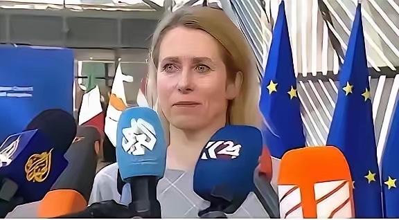 就在最近，欧盟正式官宣了一个让全球科研界震动的决定：

从2026年起，将中国科